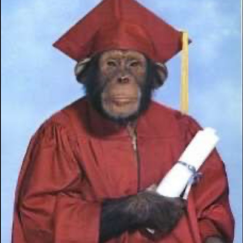 Meet your Posher, Diego